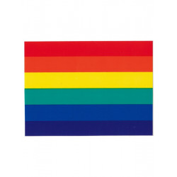 Rainbow Pride Aufkleber / Sticker 5,0 x 7,6cm / 2 x 3 inch (T1042)