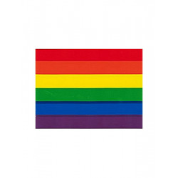 Rainbow Pride Aufkleber / Sticker 9,5 x 12,7cm / 3.5 x 5 inch (T1044)