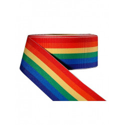 Rainbow Stripe Ribbon 3/8inch / 10mm wide 10m (T1532)