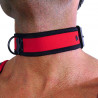 Rude Rider Neoprene Puppy Collar Red (T7266)