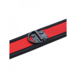 Rude Rider Neoprene Puppy Collar Red (T7266)