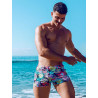 2Eros Print Bondi Bar Beach Swim Trunks Monstera Black (Series 2) (T8917)