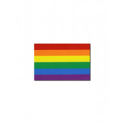 Rainbow Magnet Gay Pride flexible 4,5 x 7 cm (T0147)