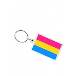 Pansexual Flag Key Ring (T5150)